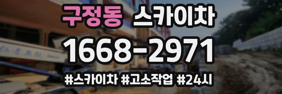 구정동 스카이차