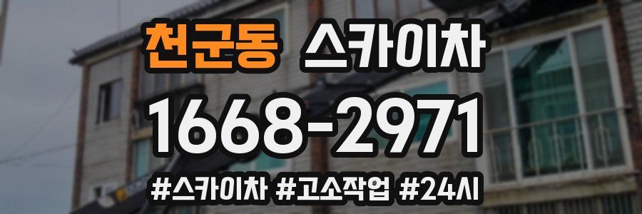 천군동 스카이차