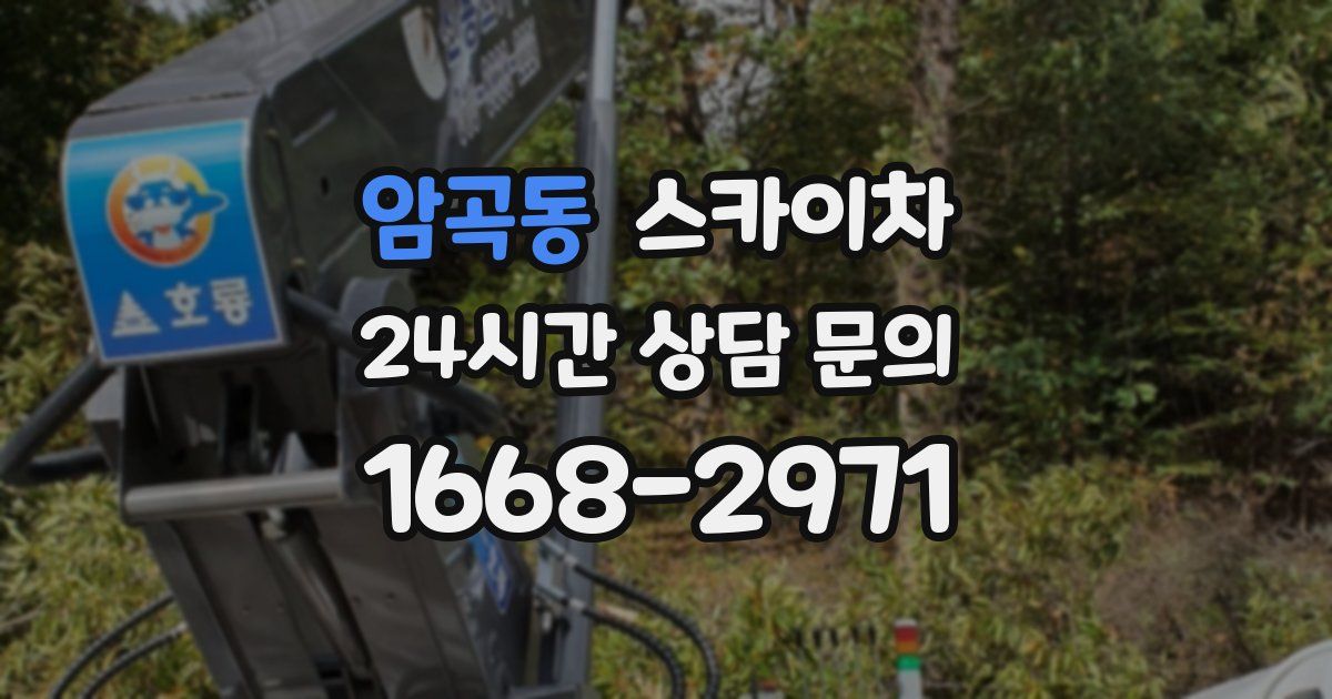 암곡동 스카이차