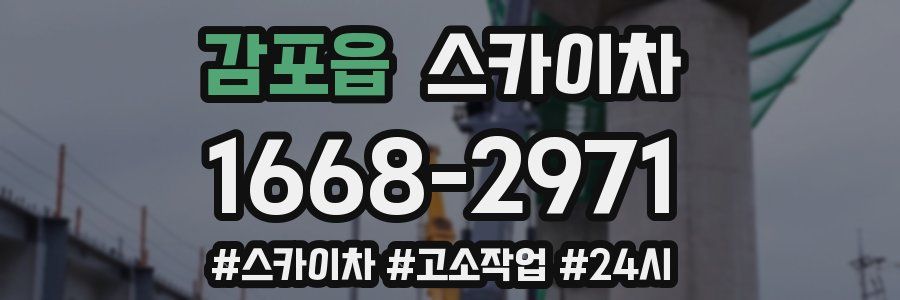 감포읍 스카이차