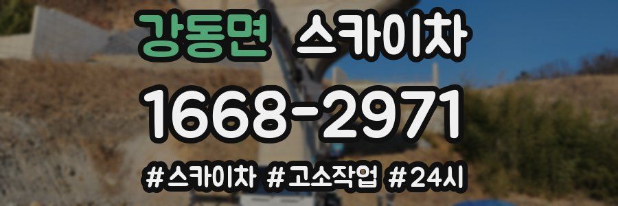 강동면 스카이차