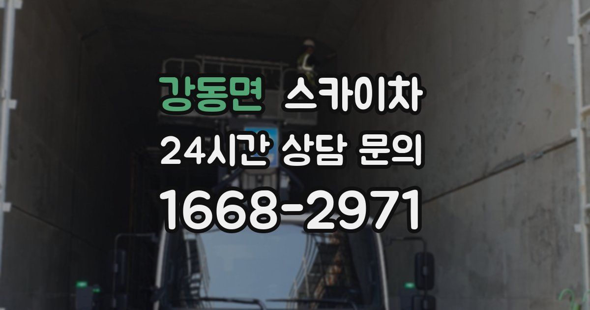 강동면 스카이차