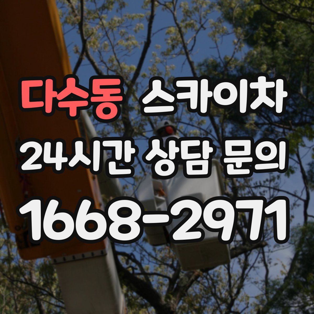 다수동 스카이차