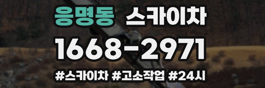 응명동 스카이차