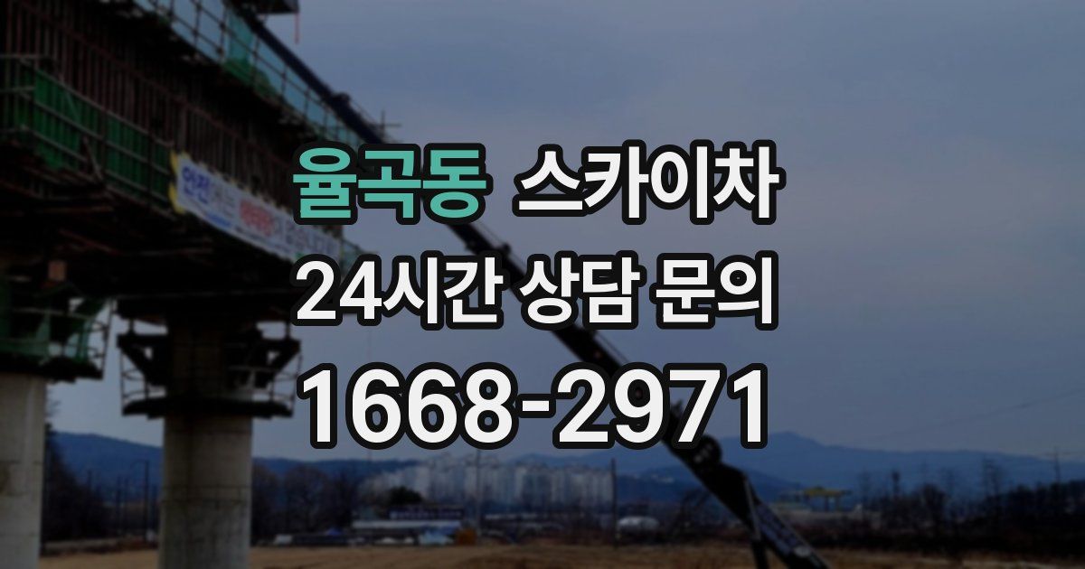 율곡동 스카이차