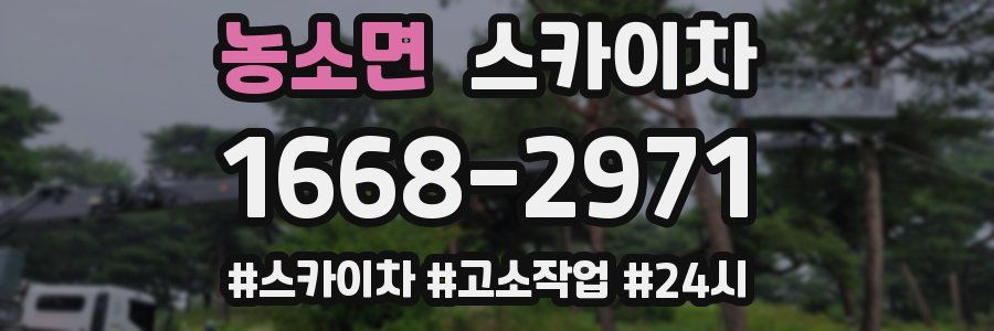 농소면 스카이차