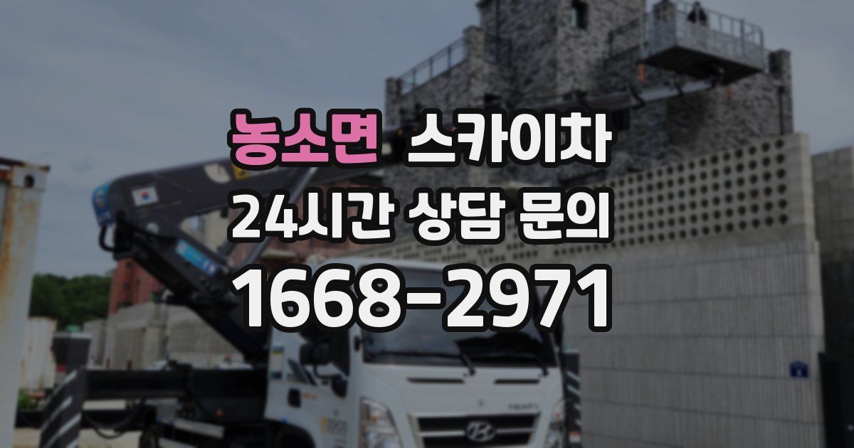 농소면 스카이차