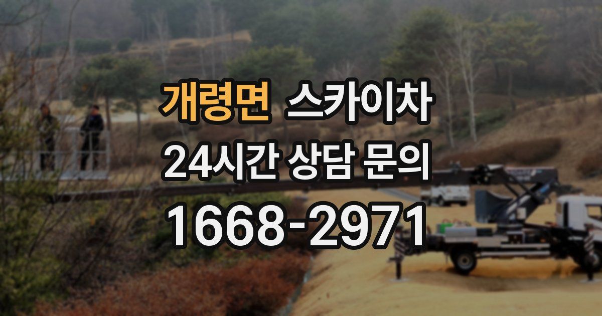 개령면 스카이차