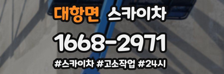 대항면 스카이차