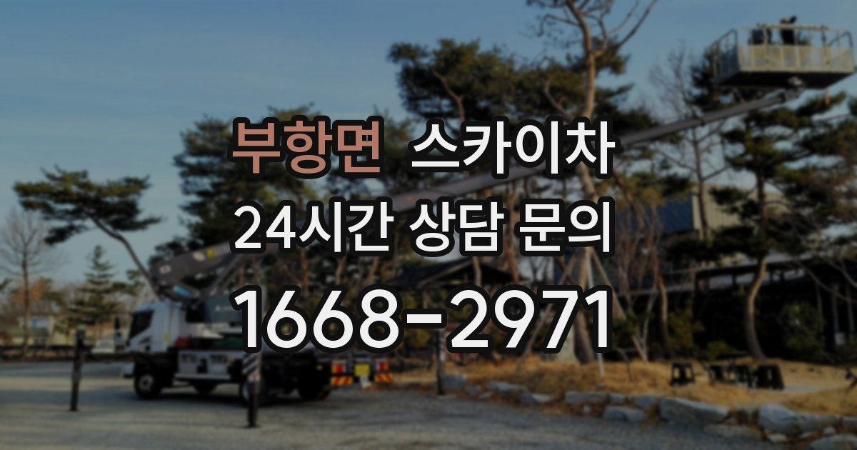부항면 스카이차