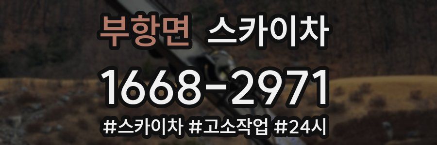 부항면 스카이차