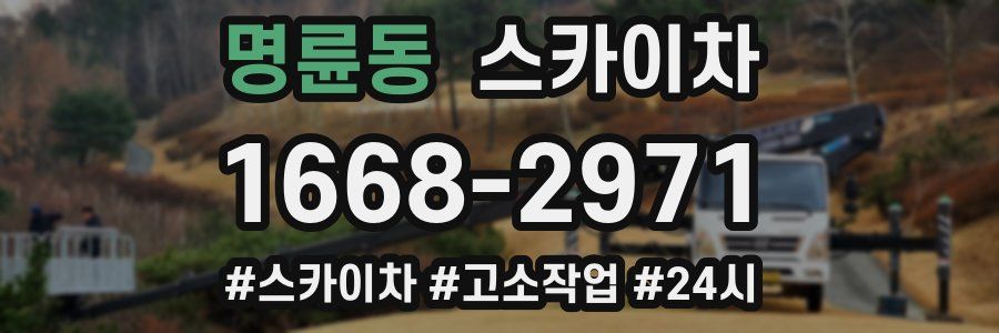 명륜동 스카이차