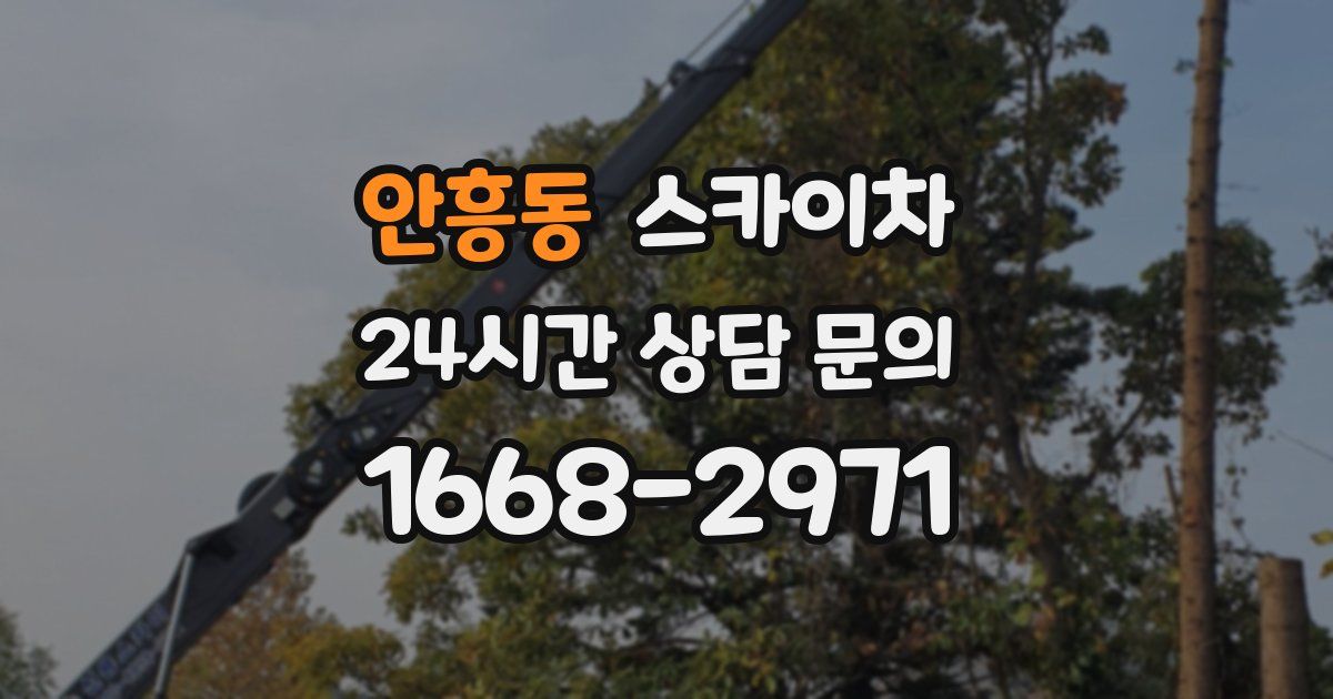 안흥동 스카이차