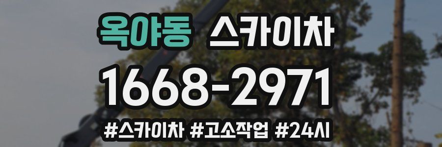 옥야동 스카이차