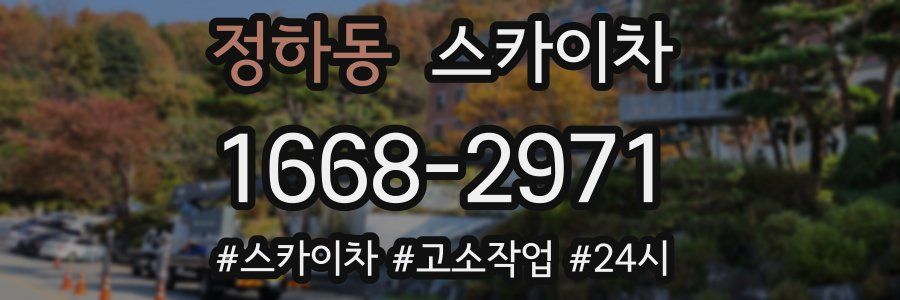 정하동 스카이차