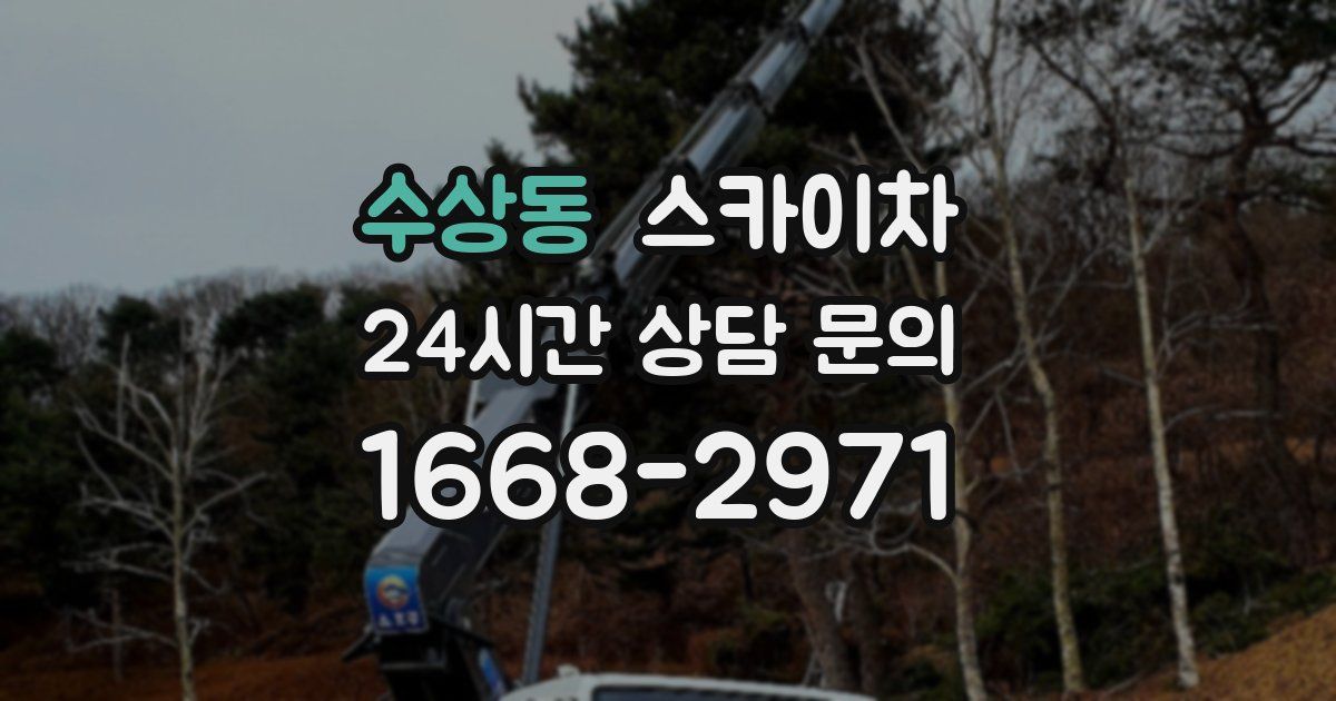 수상동 스카이차