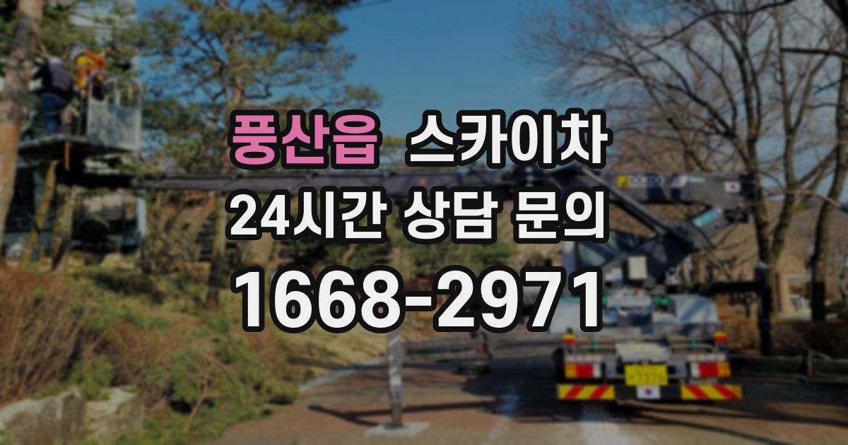 풍산읍 스카이차