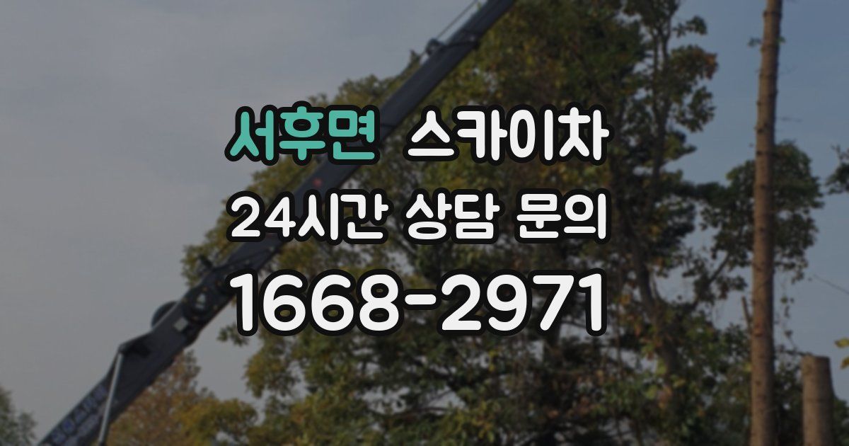 서후면 스카이차