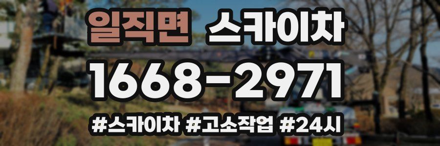 일직면 스카이차