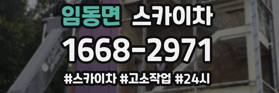 임동면 스카이차