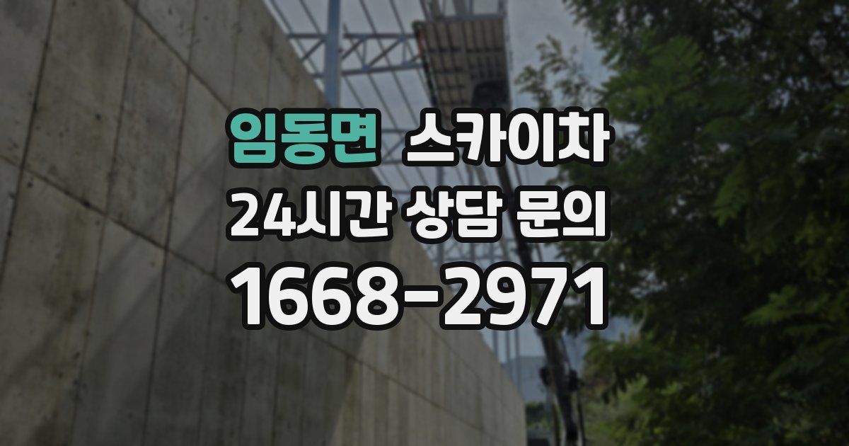 임동면 스카이차