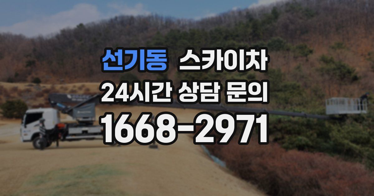 선기동 스카이차