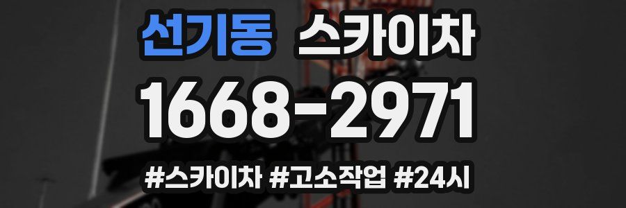 선기동 스카이차