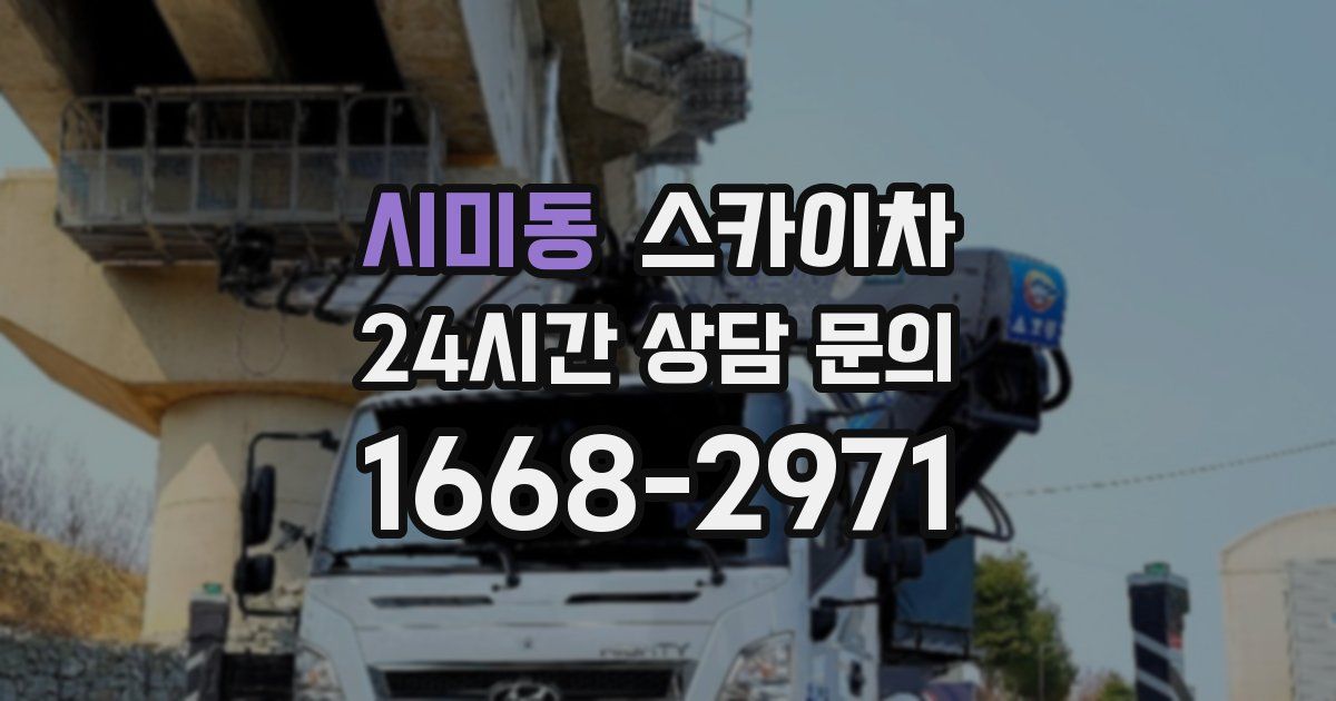 시미동 스카이차