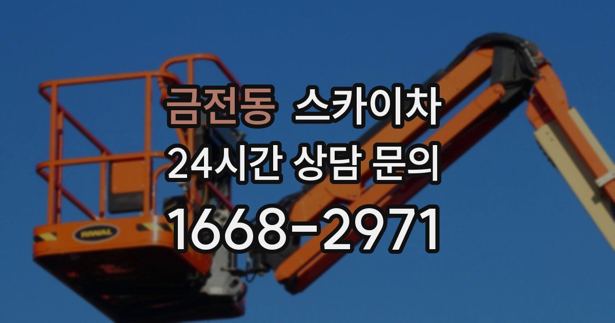 금전동 스카이차