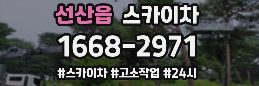 선산읍 스카이차