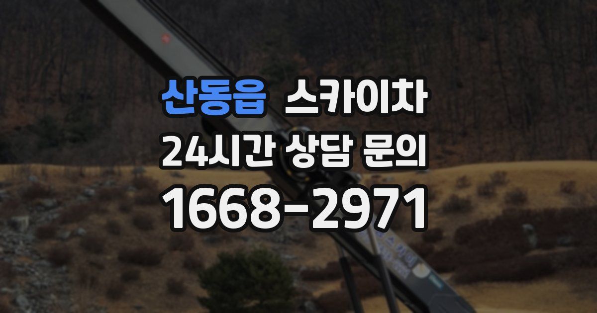 산동읍 스카이차