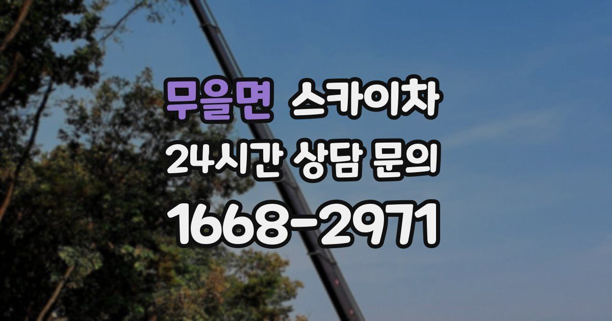 무을면 스카이차