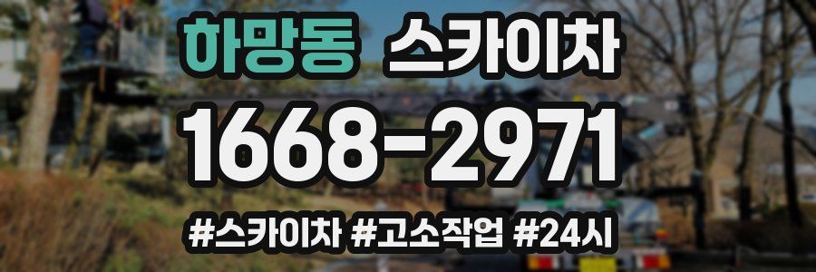 하망동 스카이차