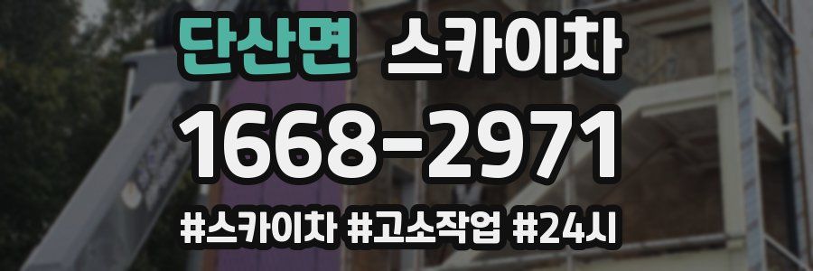 단산면 스카이차