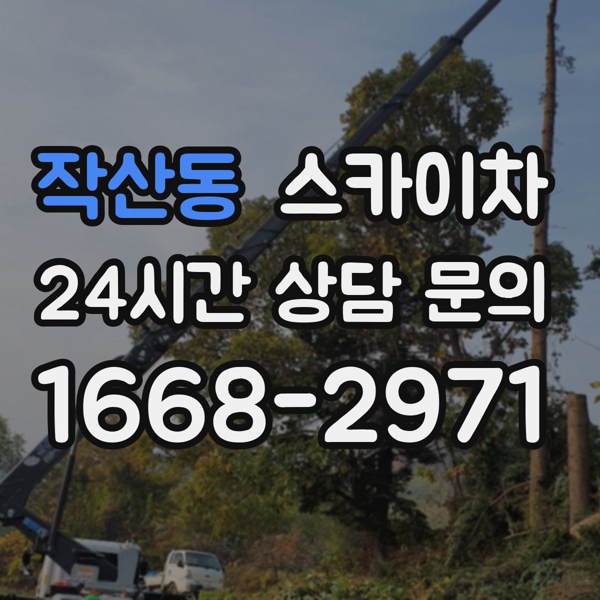 작산동 스카이차