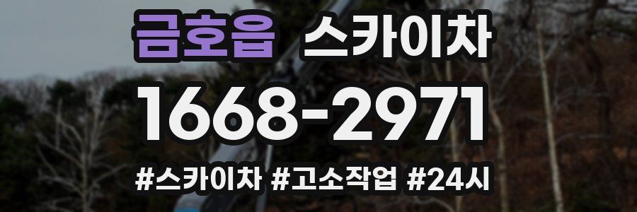 금호읍 스카이차