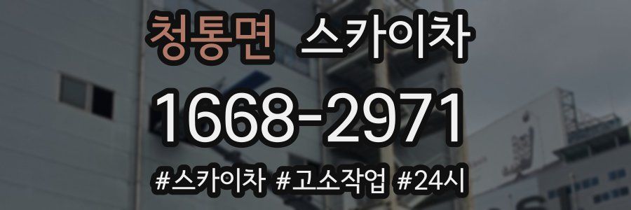 청통면 스카이차