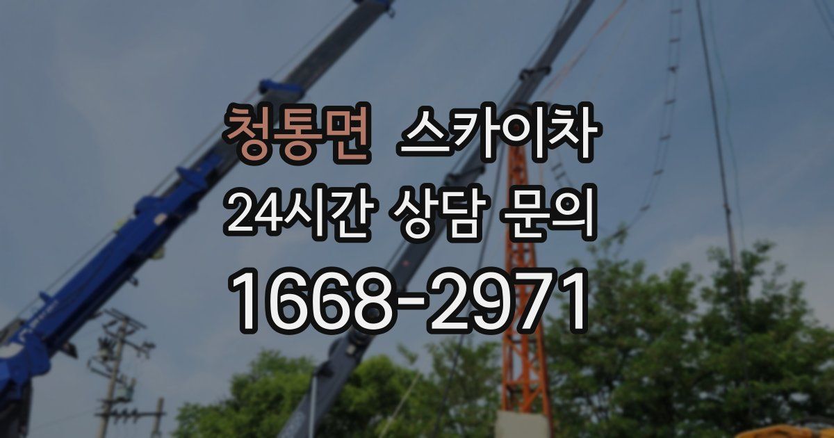 청통면 스카이차