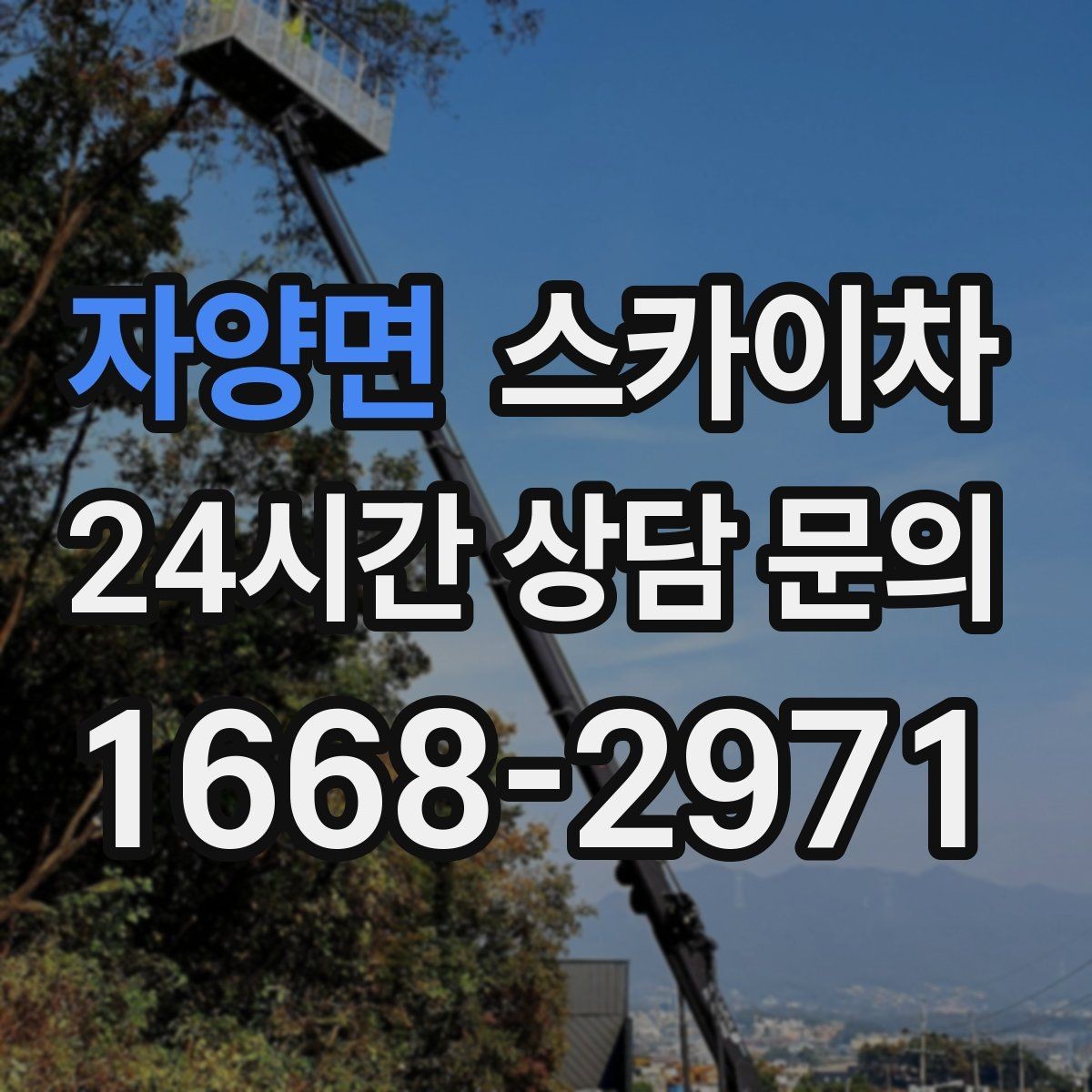 자양면 스카이차 매장 외부 스피커 라인 정리 작업