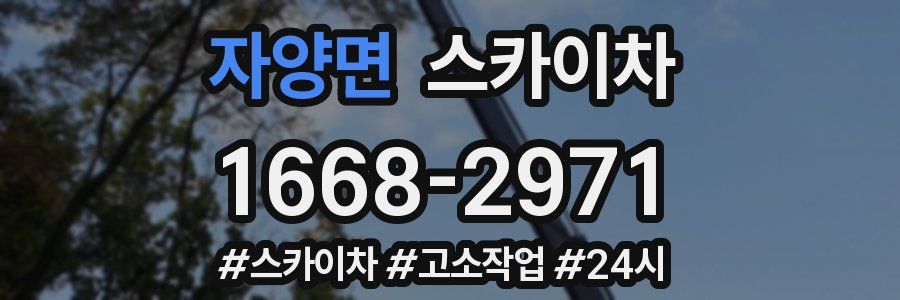 자양면 스카이차