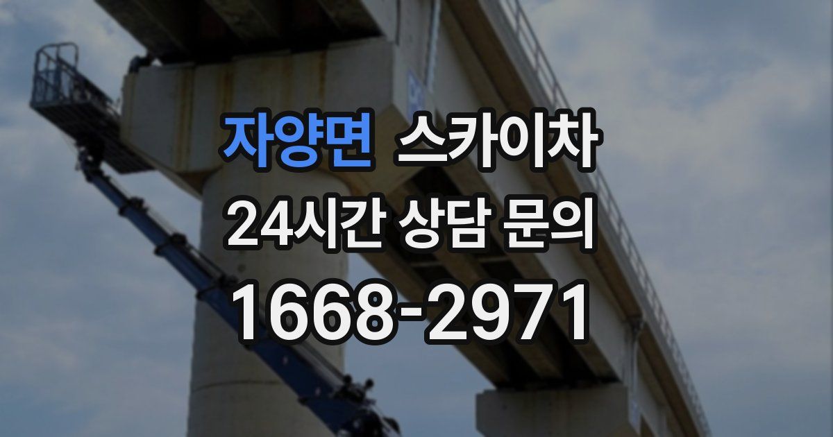 자양면 스카이차