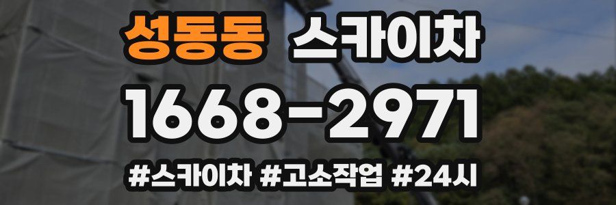 성동동 스카이차