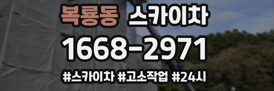 복룡동 스카이차