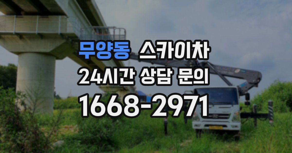 무양동 스카이차