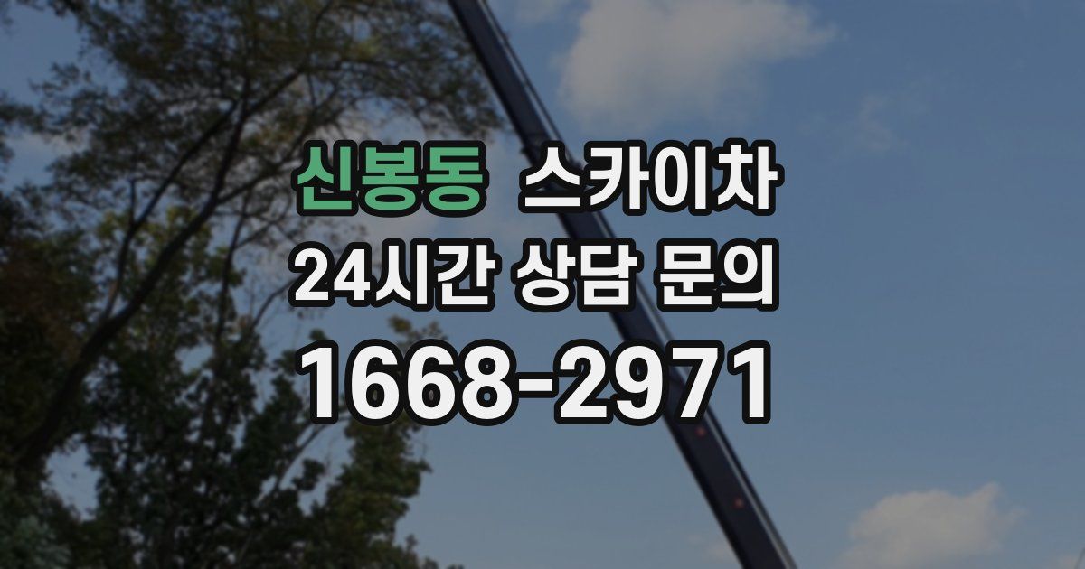 신봉동 스카이차