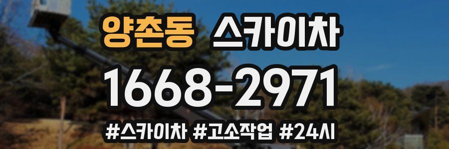 양촌동 스카이차