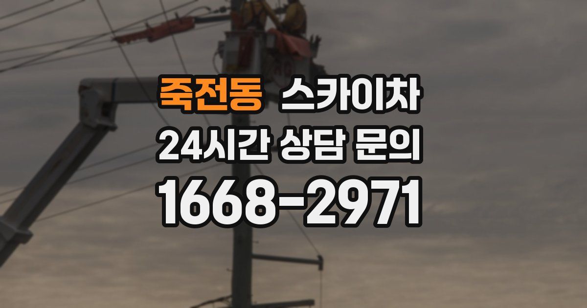 죽전동 스카이차