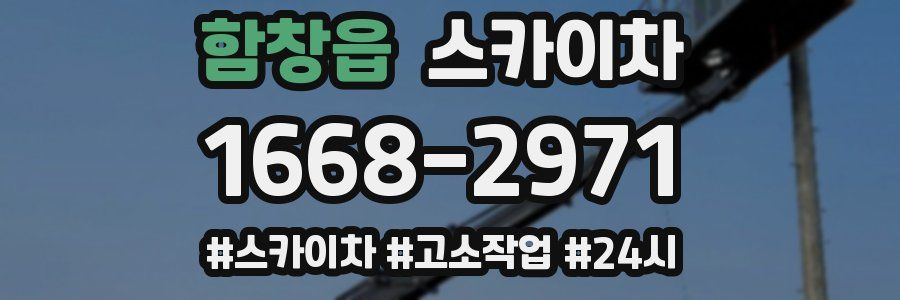 함창읍 스카이차