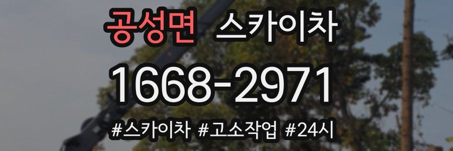 공성면 스카이차