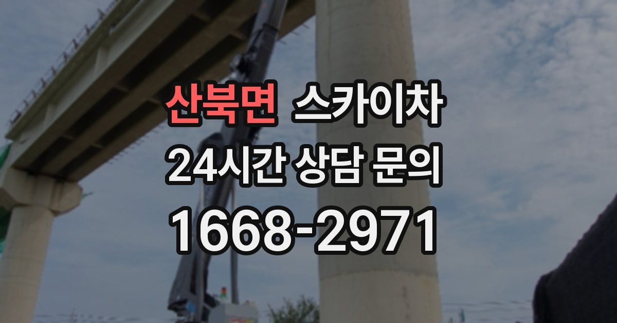 산북면 스카이차